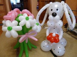 image (16)17